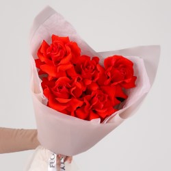 francuzskaya roza krasnaya 6